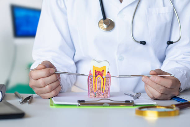 Best Emergency Dental Care for Sports Injuries in Chapel Hill, TN